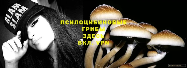 прущие крисы Беломорск
