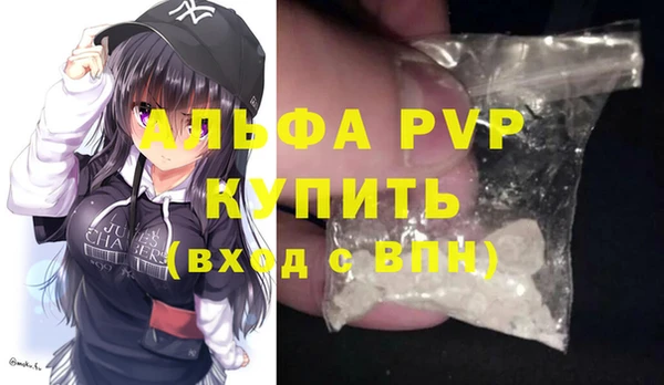 крисы Белокуриха