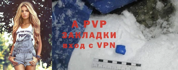 крисы Белокуриха