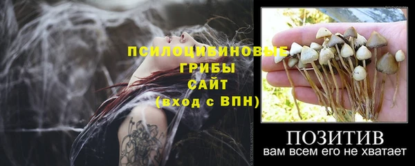 прущие крисы Беломорск