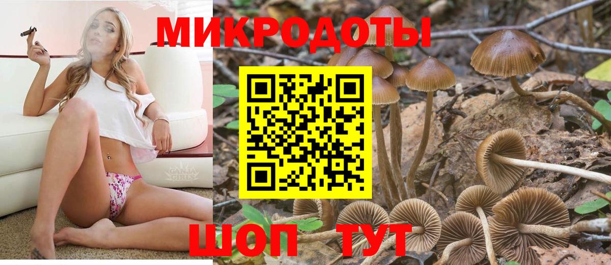 Городец  Псилоцибиновые грибы Psilocybine cubensis  сколько стоит  Вход с VPN 